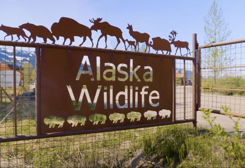 Alaska Wildlife Conservation Center