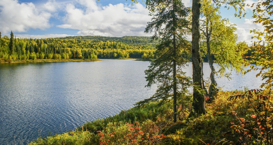 Talkeetna Lakes