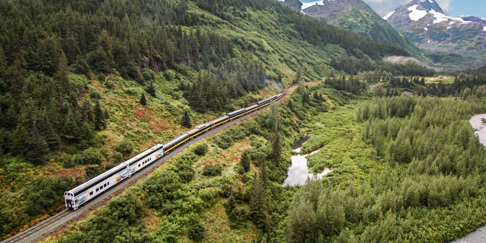 train driving through mountain of trees