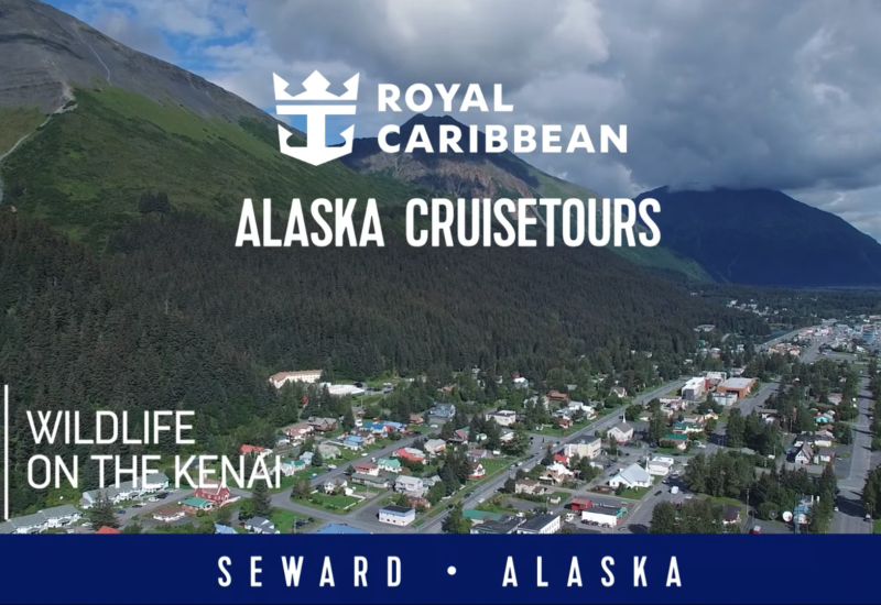 Wildlife on the Kenai video